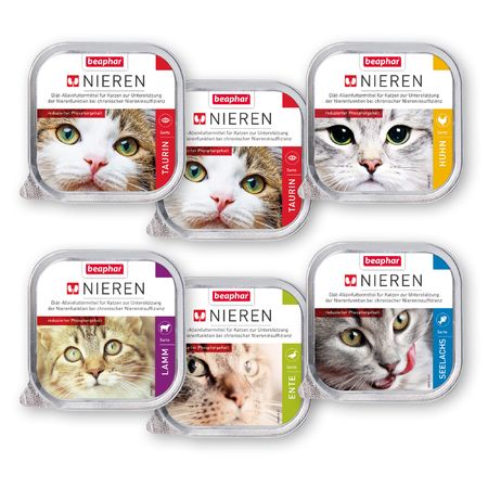 Beaphar Nierendiät Mix Pack für Katzen 6x 100gr