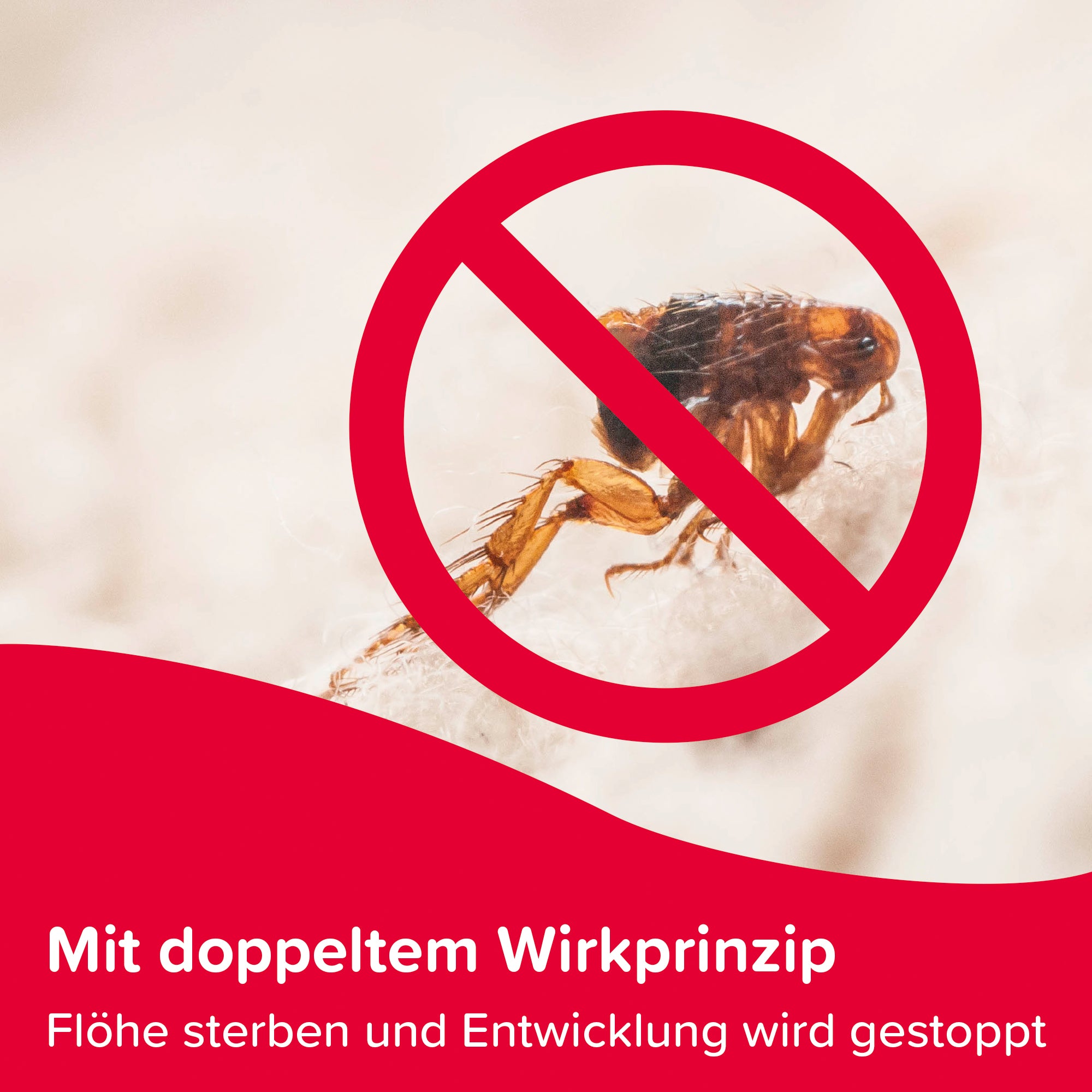 Beaphar Protecto Plus Umgebungsspray gegen Zecken Flöhe Parasitenspray Raumspray 400ml