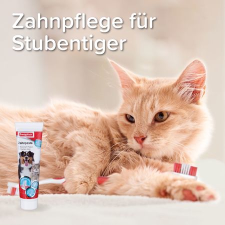 Beaphar Zahnpasta 100gr mit Lebergeschmack für Hunde und Katzen