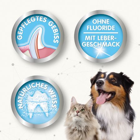 Beaphar Zahnpasta 100gr mit Lebergeschmack für Hunde und Katzen