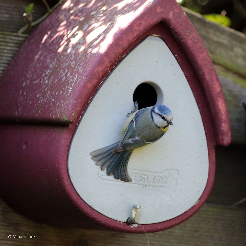 Schwegler Meisenresidenz 1MR