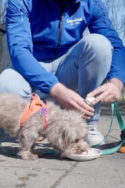 Canina DETOX-SHOT