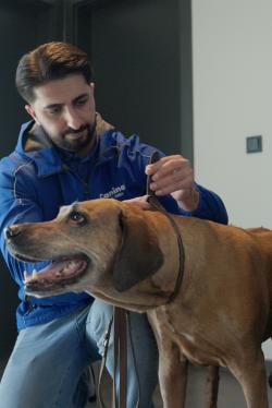 Canina SENIOR-SHOT