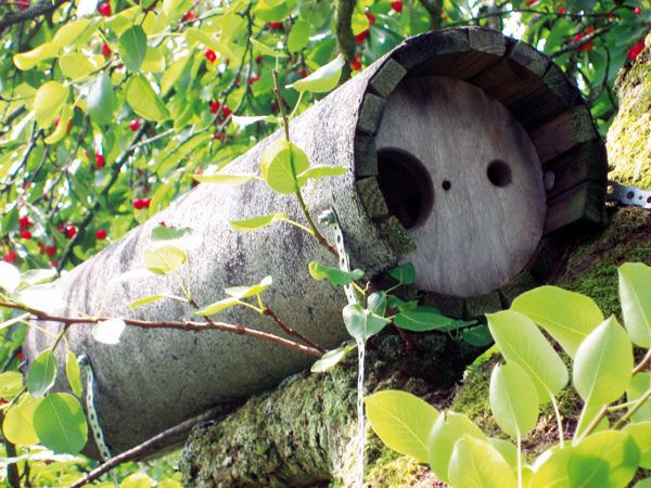 Schwegler Steinkauzröhre Typ Nr. 20