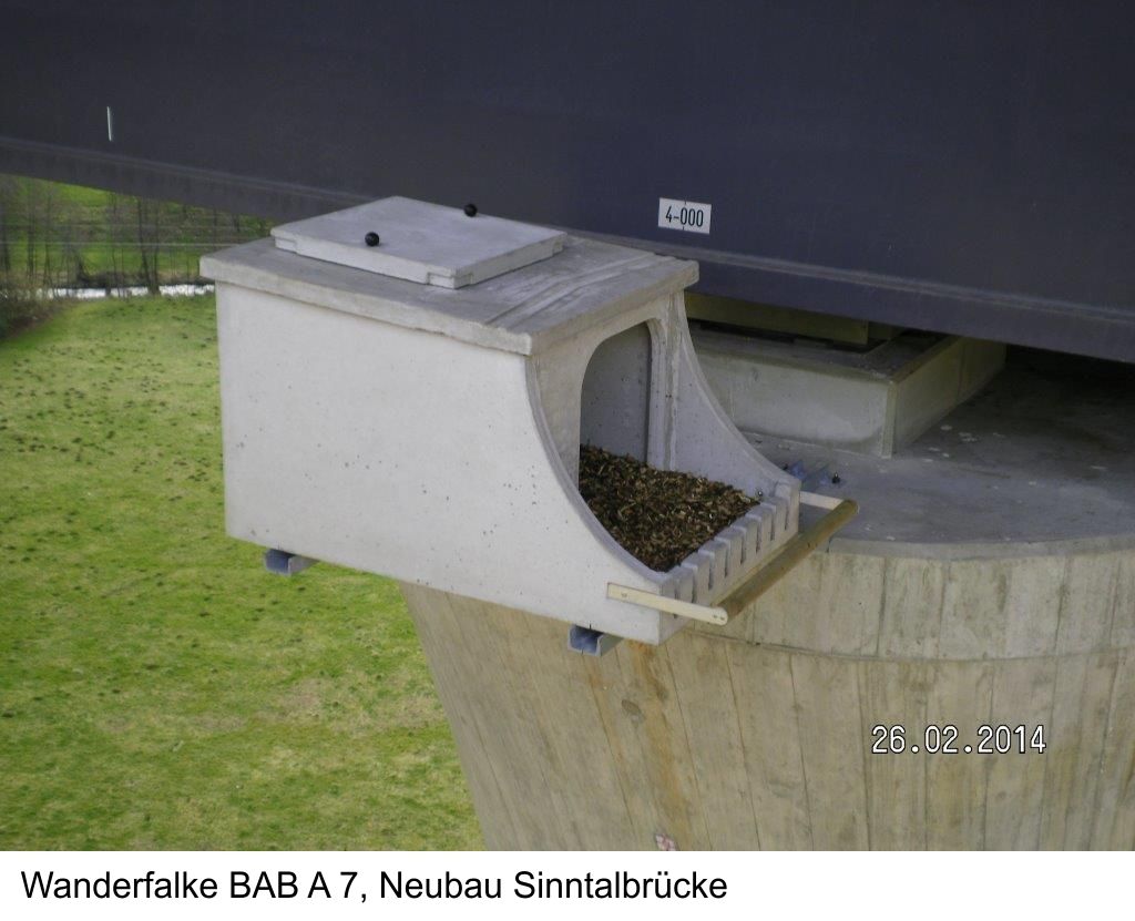 Schwegler Wanderfalkenkasten