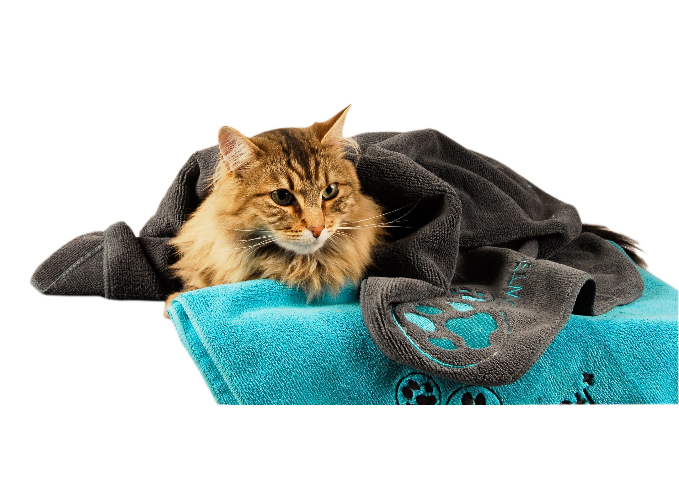 Show Tech+ Microfibre Towel, Mikrofaserhandtuch für alle Haustiere, Hundehandtuch Katzenhandtuch, 56x90 cm