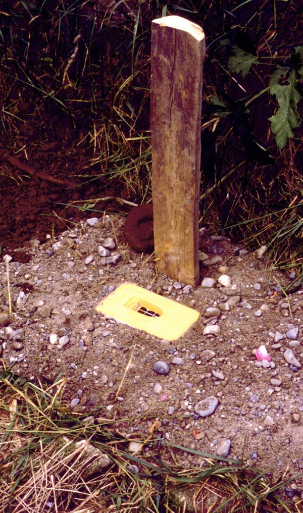 Schwegler Hummelnistkasten zum Erdeinbau