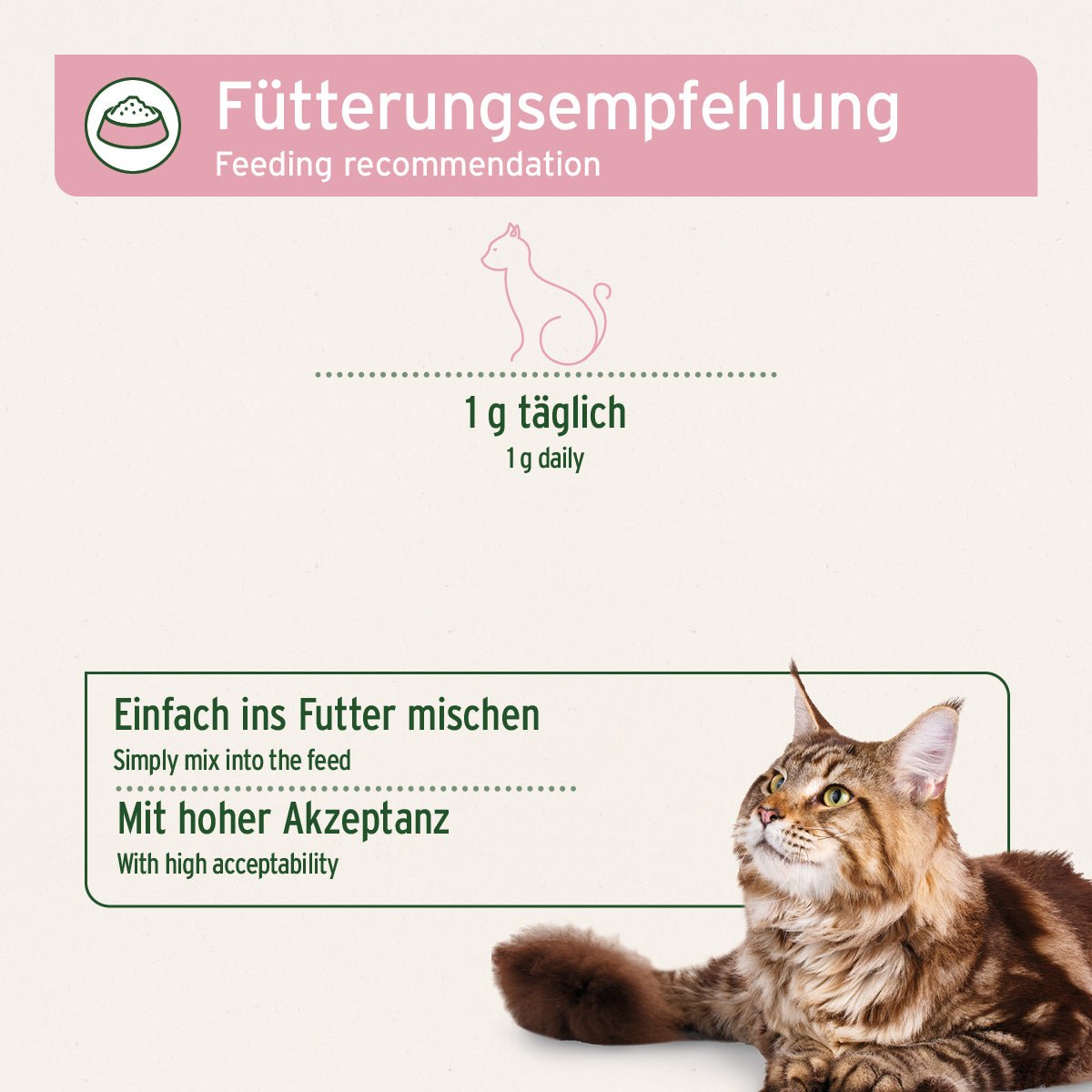 AniForte 4in1 Complete Cat – Rundumversorgung für Katzen