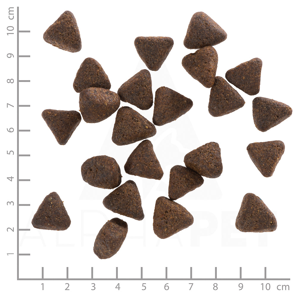 Wolfsblut Atlantic Tuna Adult Thunfisch Meeressalat ohne Getreide