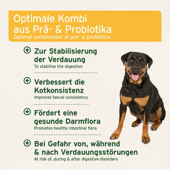 AniForte® plus Probiotikum Tabs, Probiotika und Präbiotika für den Hund, Verbesserung der Kotqualität, 90 Tabs