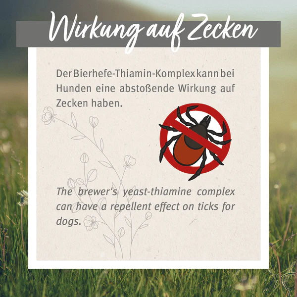 AniForte® ZeckenSchild Kapseln Unterstützt den Schutz vor Zecken mit Bierhefe & Vitamin B1, für Hunde