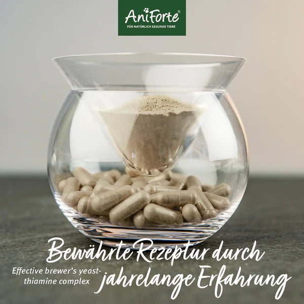 AniForte® ZeckenSchild Kapseln Unterstützt den Schutz vor Zecken mit Bierhefe & Vitamin B1, für Hunde