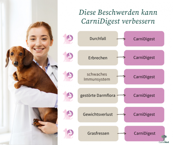 CarniMed CarniDigest schützt regeneriert, entgiftet den Verdauungstrakt Hund Katze 250 gr