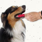 Beaphar Finger Toothbrush, Finger-Zahnbürste für Hunde und Katzen, Inhalt 2 Stück