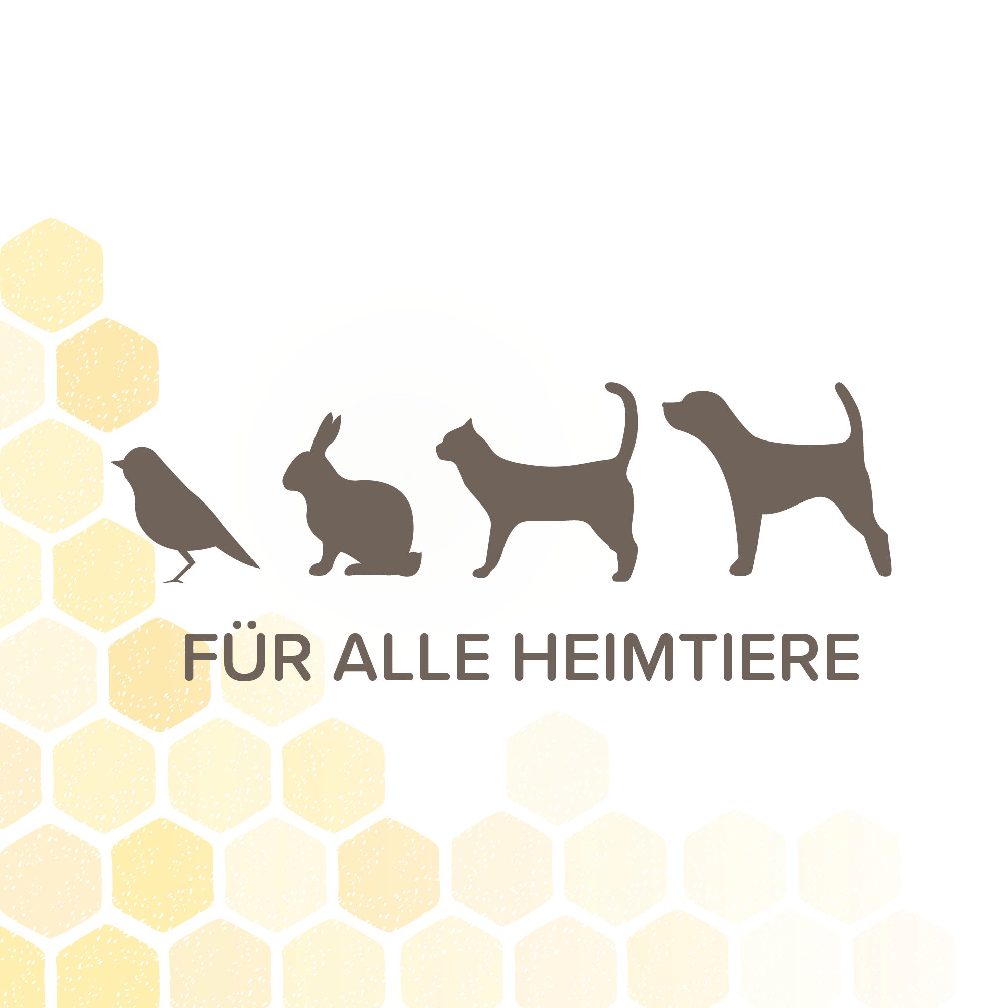 Beaphar Derma Care Balsam – Hautpflegebalsam für Haustiere