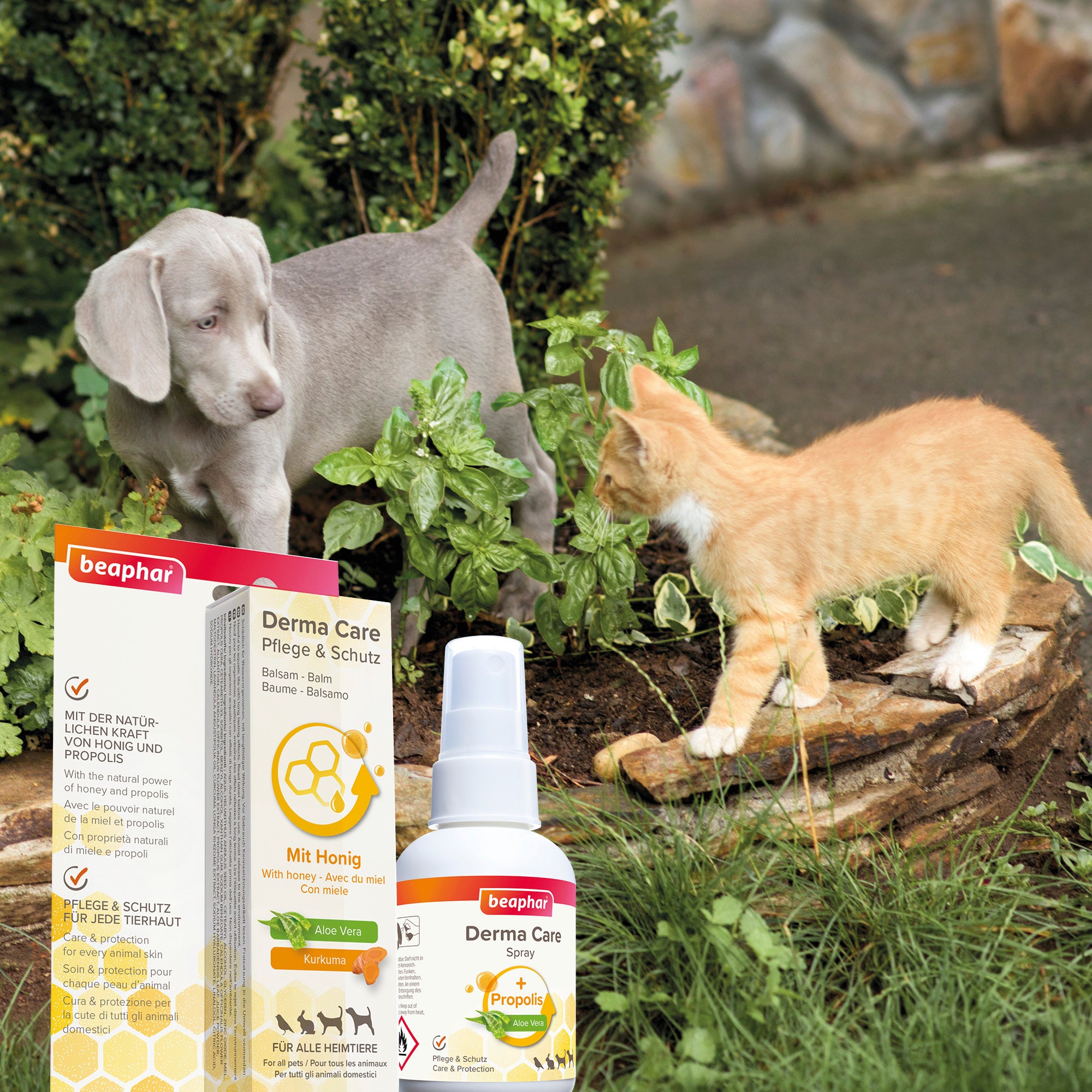 Beaphar Derma Care Balsam – Hautpflegebalsam für Haustiere