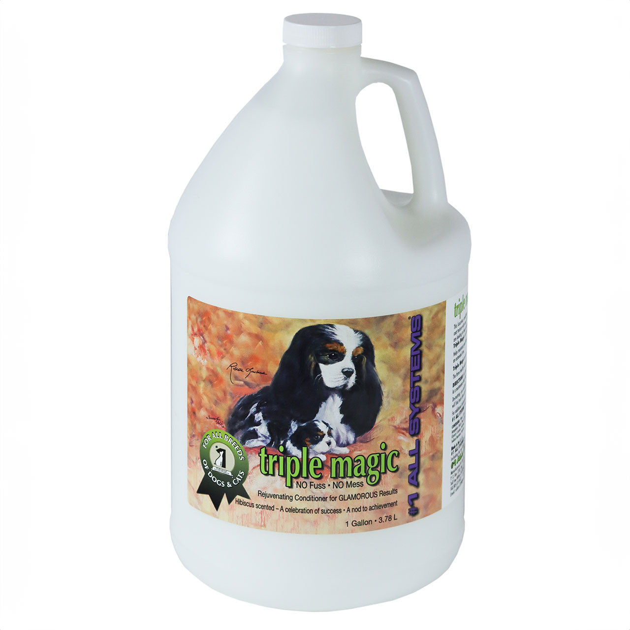 #1 All Systems 3,78 L Kanister – Profi-Gebinde in verschiedenen Varianten