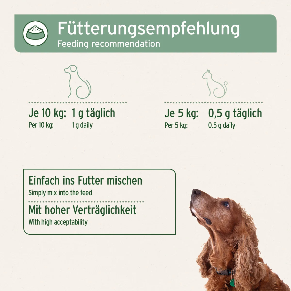 AniForte MSM Pulver zur Unterstützung der Gelenkkraft für Hunde & Katzen, 300g