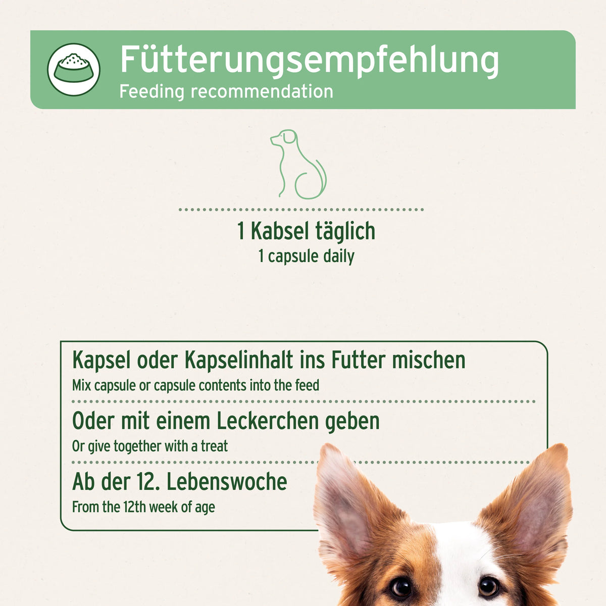 AniForte® ZeckenSchild Kapseln Unterstützt den Schutz vor Zecken mit Bierhefe & Vitamin B1, für Hunde