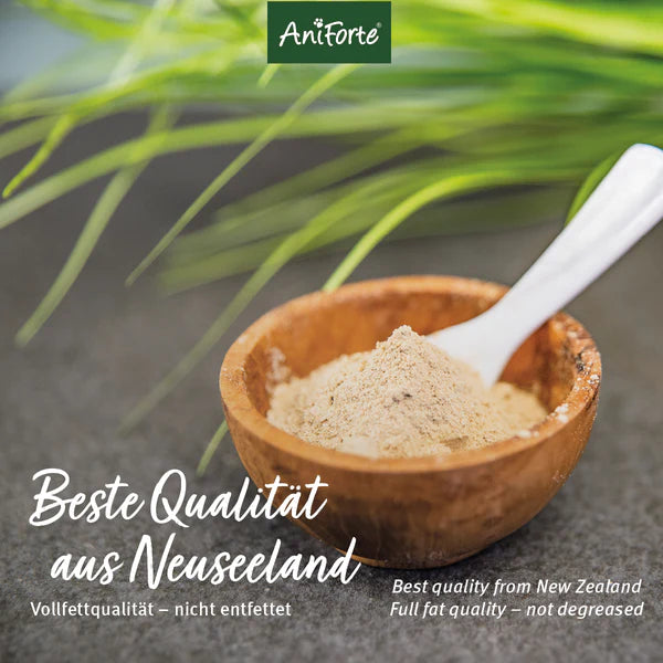 AniForte® Grünlippmuschelpulver, Gesunde Gelenk- und Knorpelfunktion für Hund & Katze