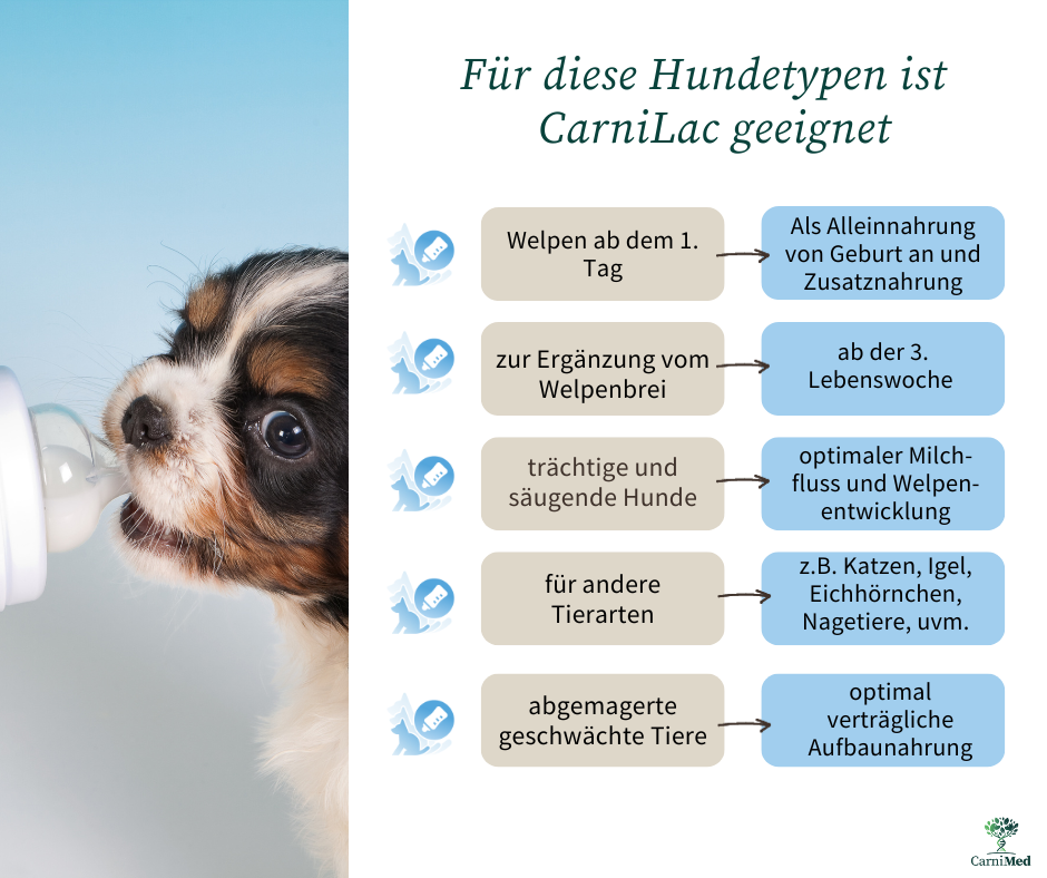 CarniLac Aufzuchtmilch Handaufzucht Carnimed Hund Katze Nagetiere