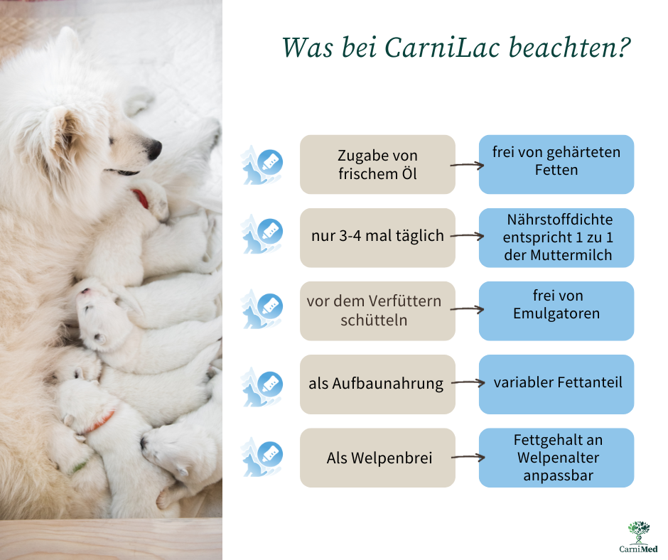 CarniLac Aufzuchtmilch Handaufzucht Carnimed Hund Katze Nagetiere