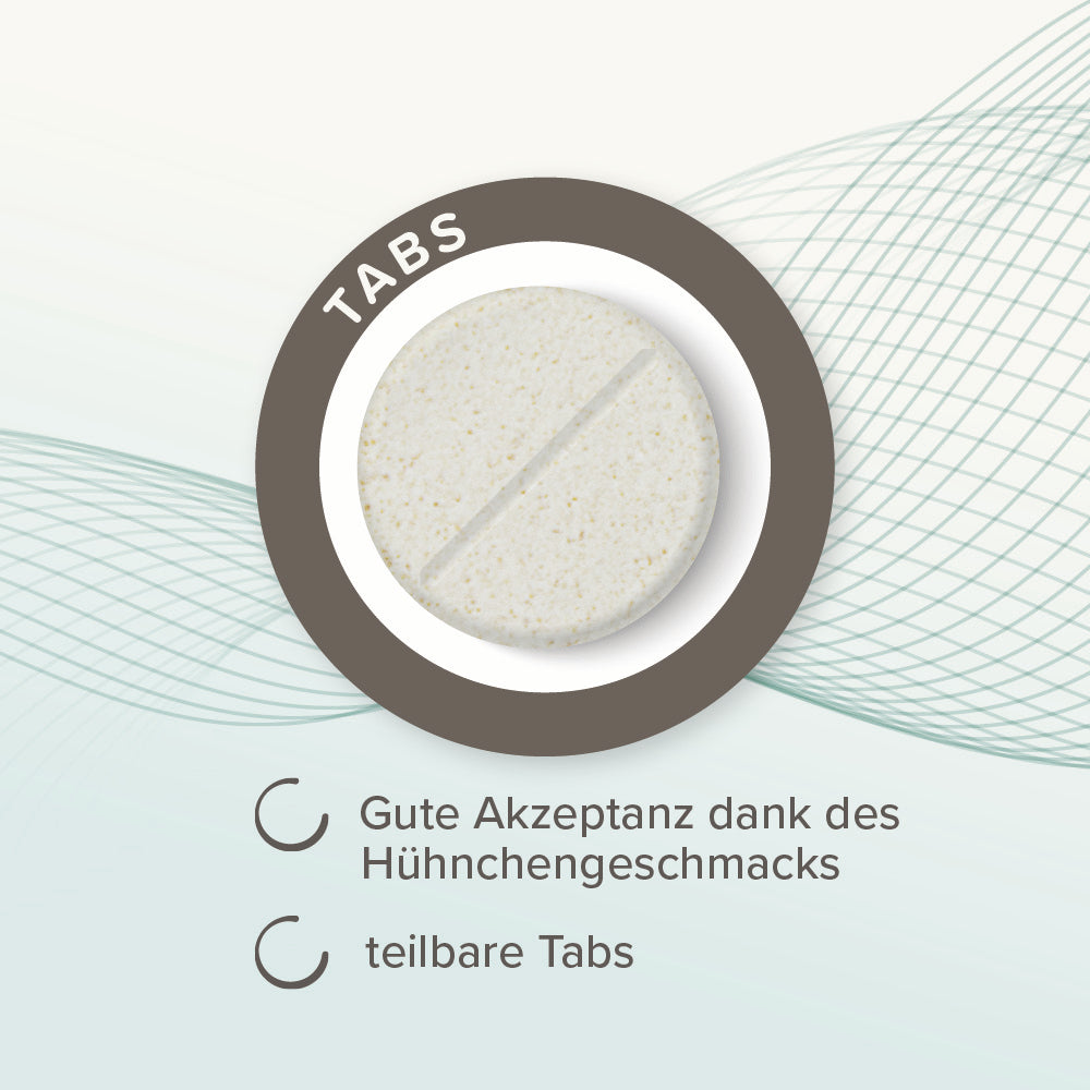 Beaphar IntestoPro Tabs - Nachfolger von RETO - für kleine und große Hunde, 20 Stück