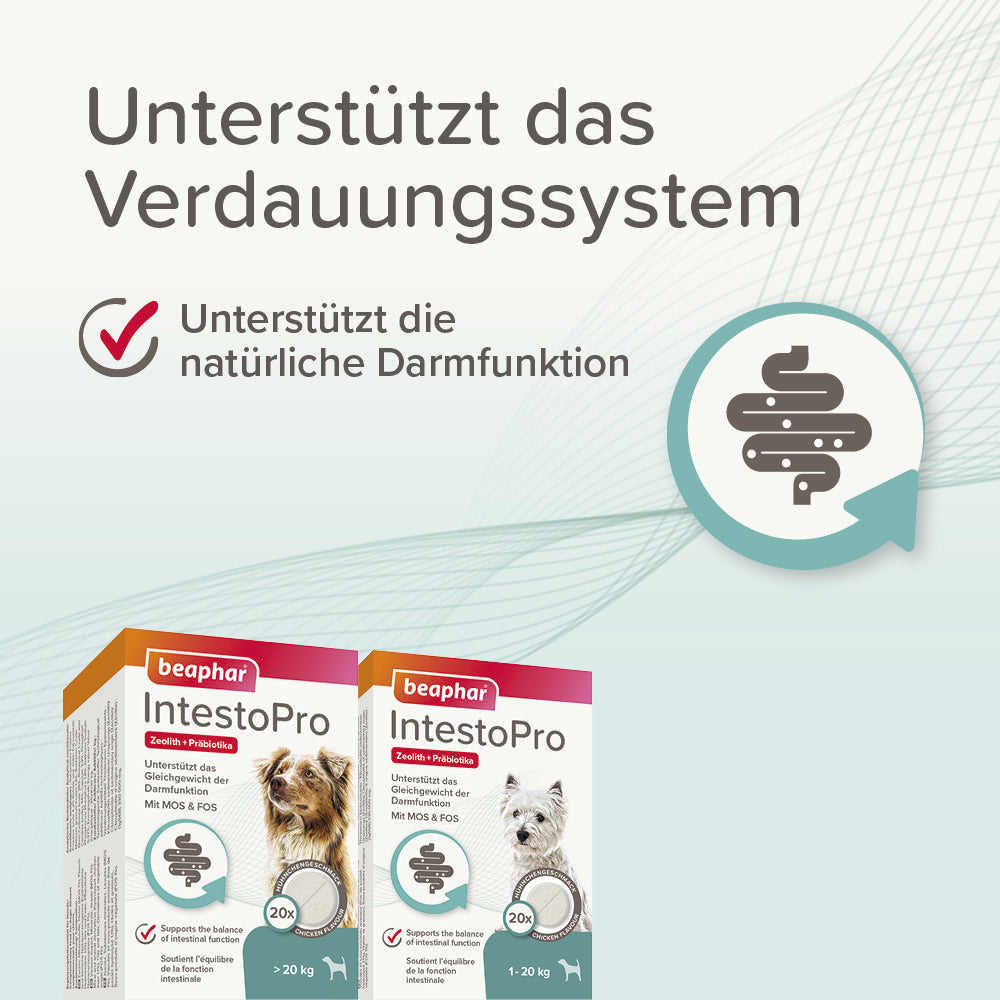 Beaphar IntestoPro Tabs - Nachfolger von RETO - für kleine und große Hunde, 20 Stück