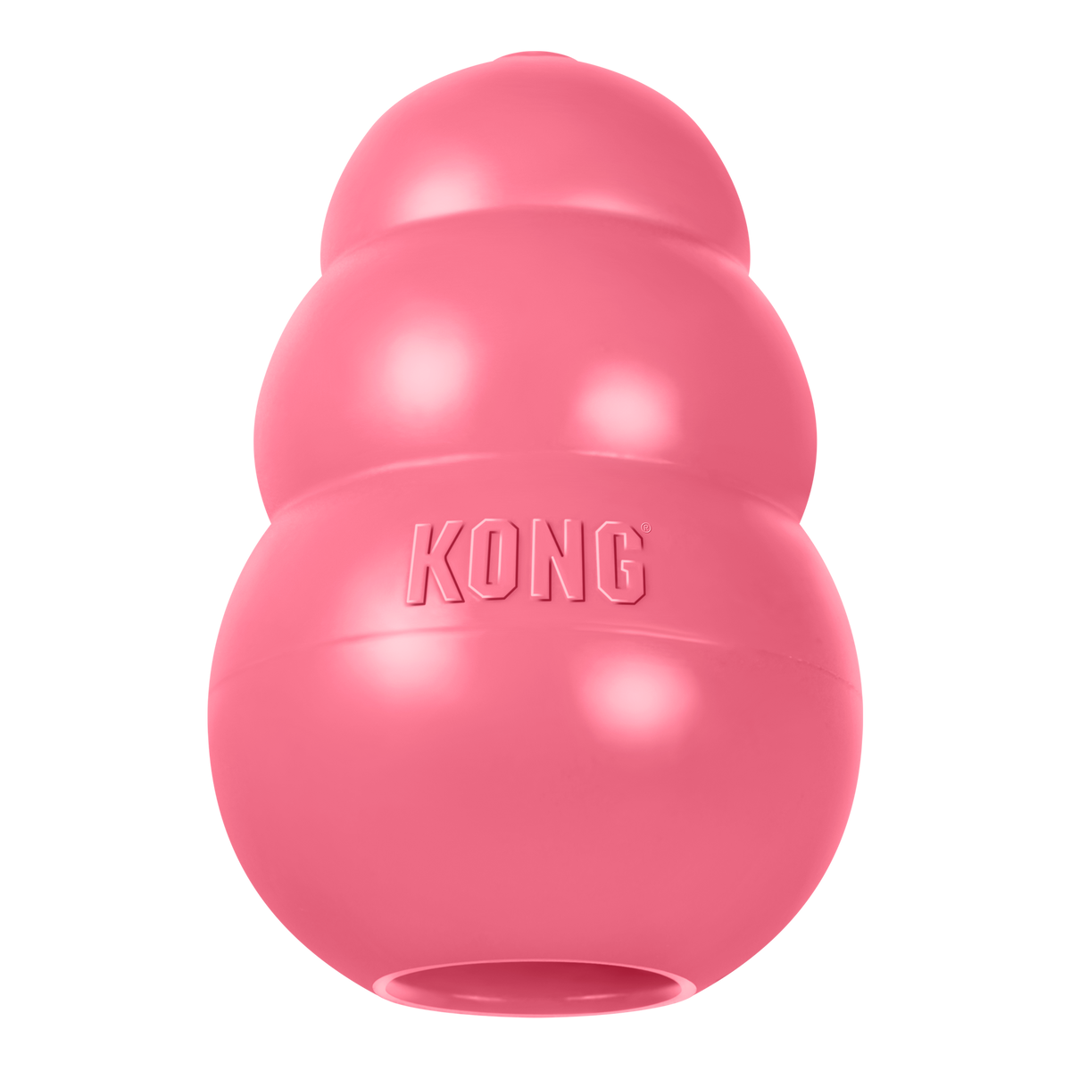 Coming Soon - KONG Puppy – Welpenspielzeug aus Naturkautschuk