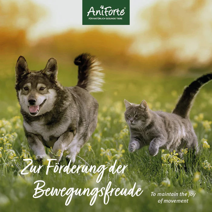 AniForte MSM Pulver zur Unterstützung der Gelenkkraft für Hunde & Katzen, 300g