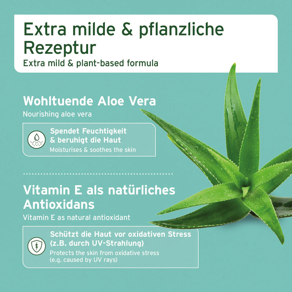 AniForte Ohren-Reinigungspads, schonende Ohrenpflege mit Aloe Vera für Hunde & Katzen, 100 Stück