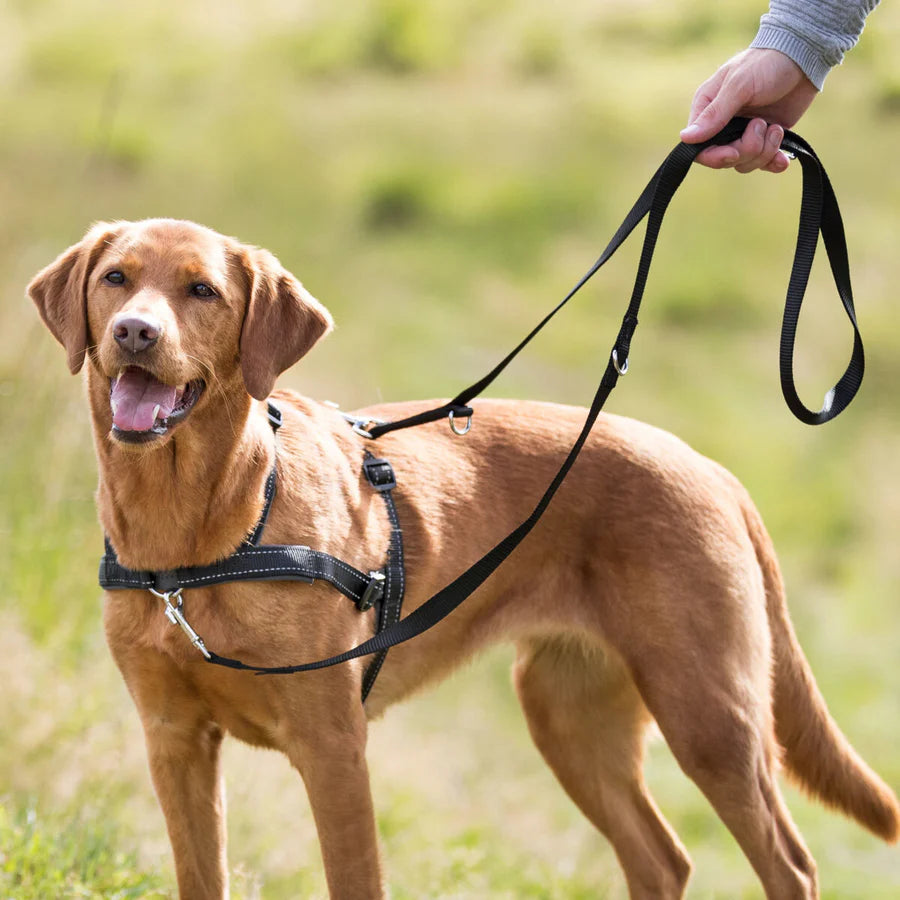 Trixie Trainingsgeschirr Lead’n’Walk Soft