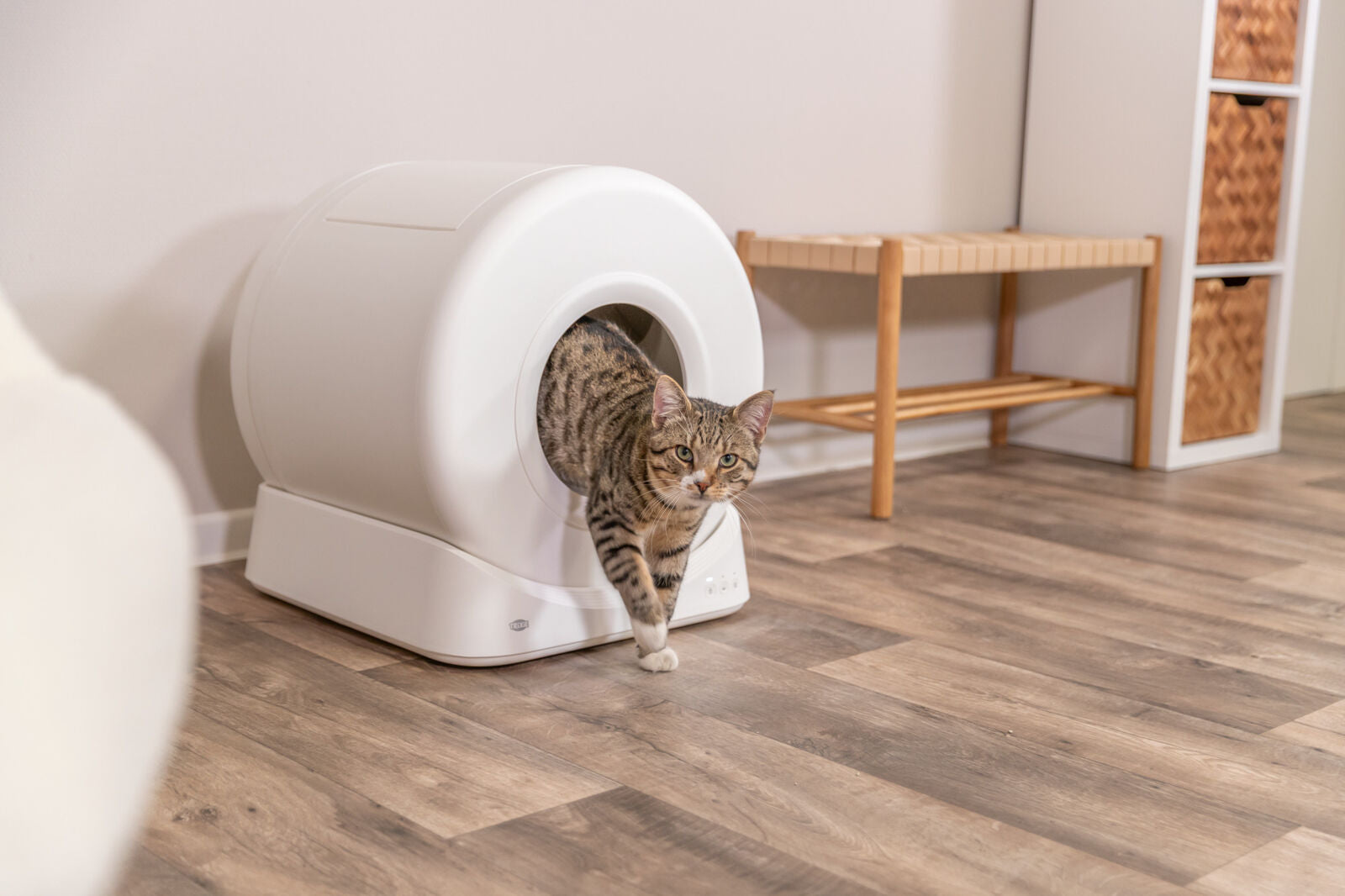 Trixie Smarte Katzentoilette mit App-Steuerung – Automatische Reinigung