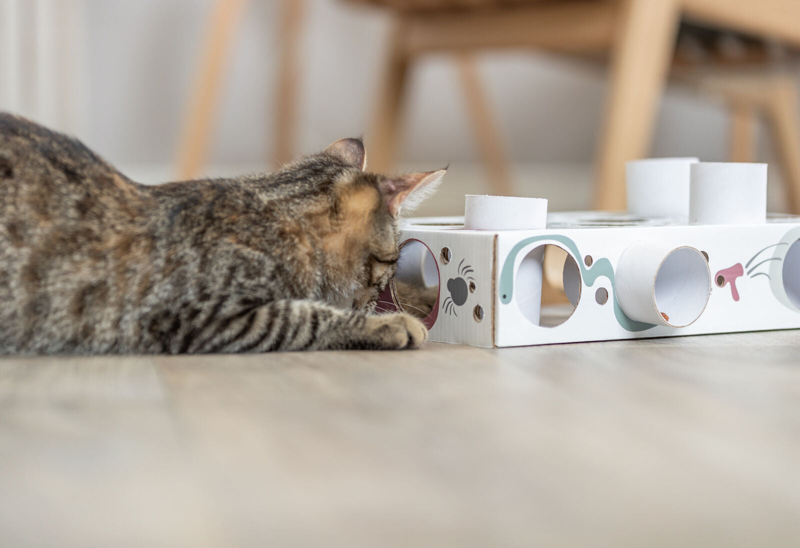 Trixie Paws'n'Treats Box – Spiel & Snackspaß für Katzen