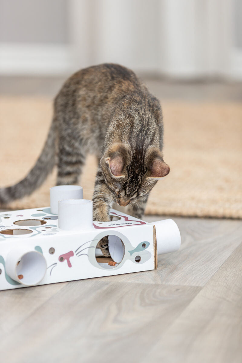 Trixie Paws'n'Treats Box – Spiel & Snackspaß für Katzen