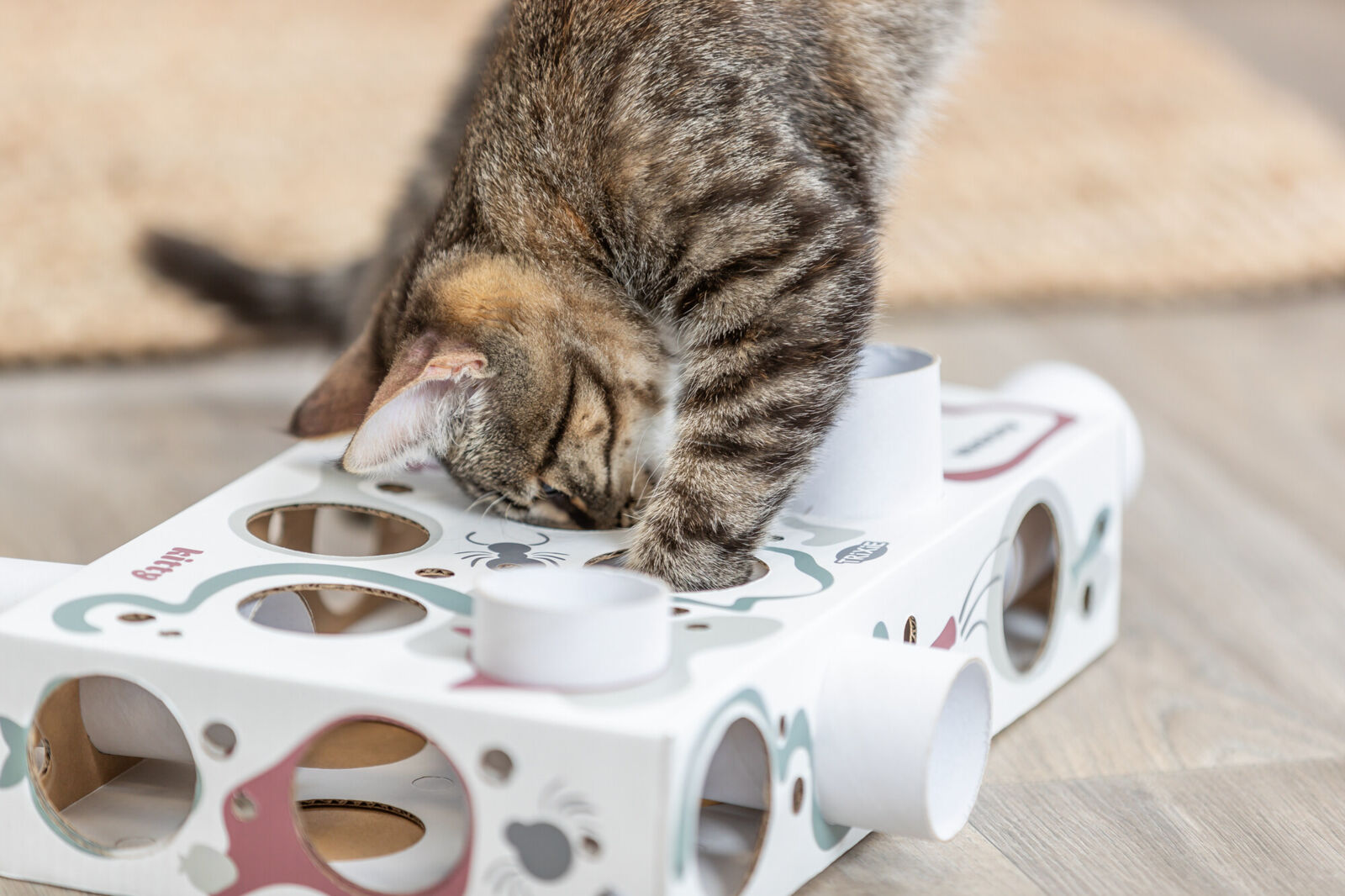 Trixie Paws'n'Treats Box – Spiel & Snackspaß für Katzen