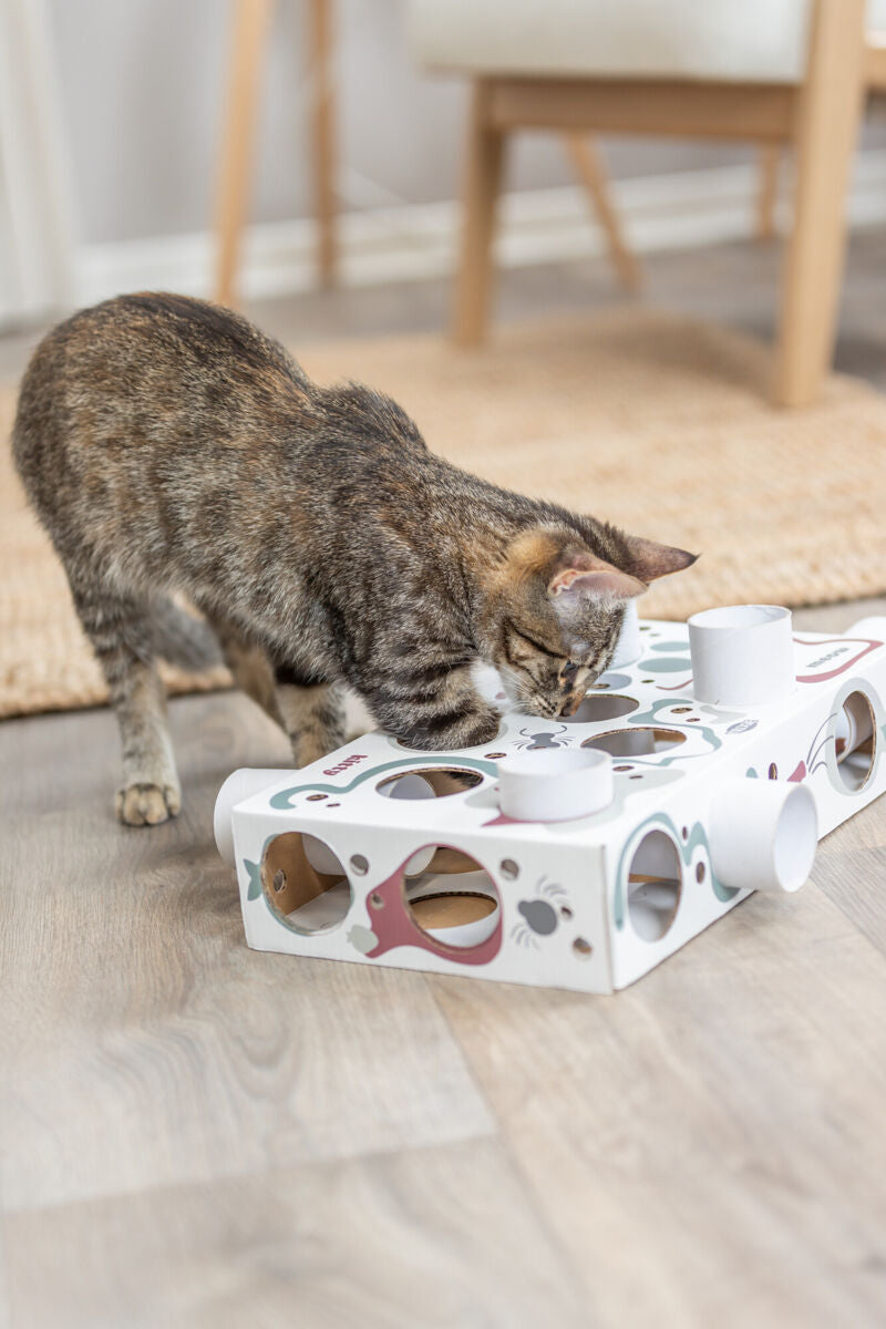 Trixie Paws'n'Treats Box – Spiel & Snackspaß für Katzen