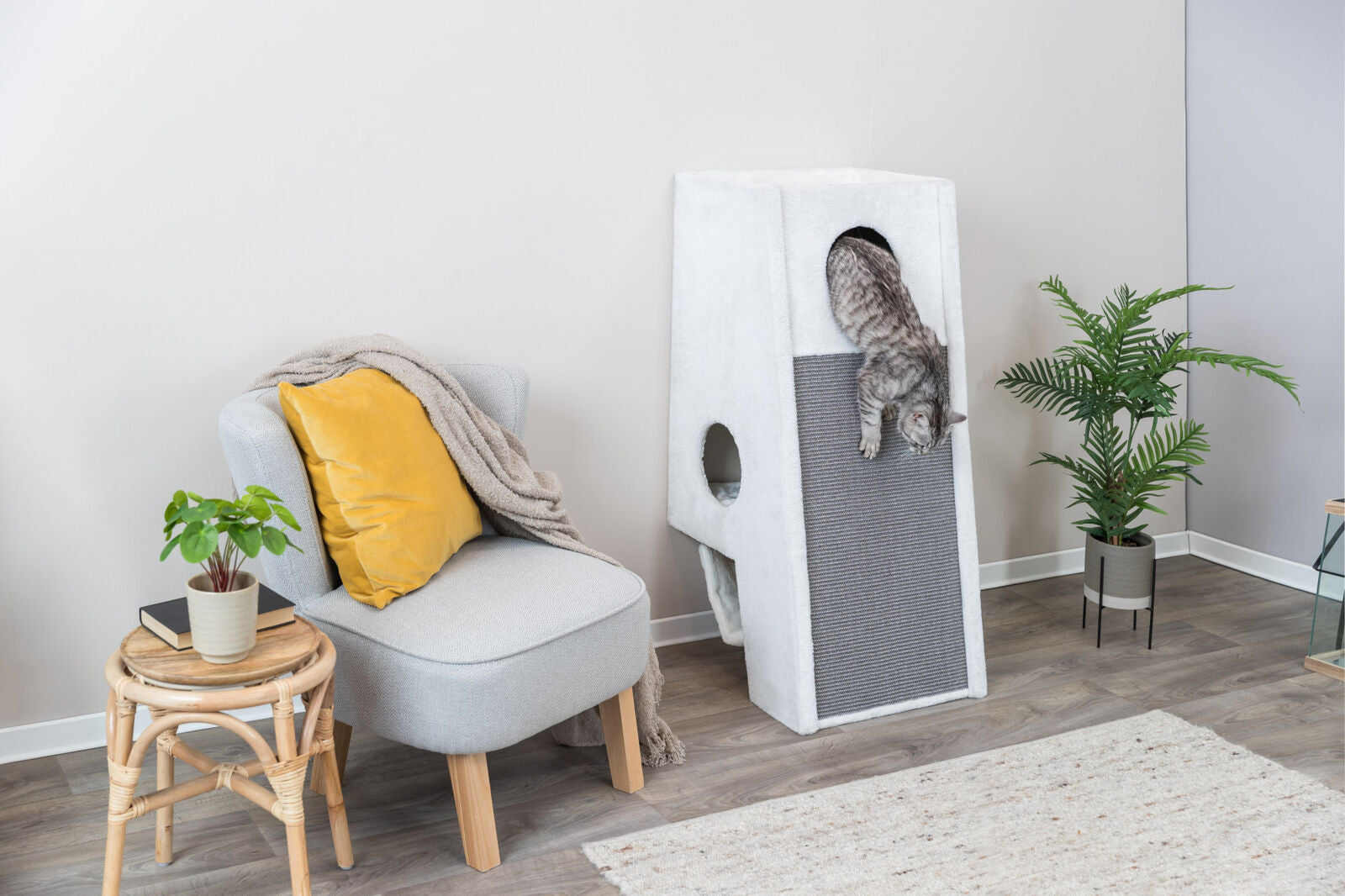 Trixie Kratzbaum zur Wandmontage Komfort für Ihre Katze