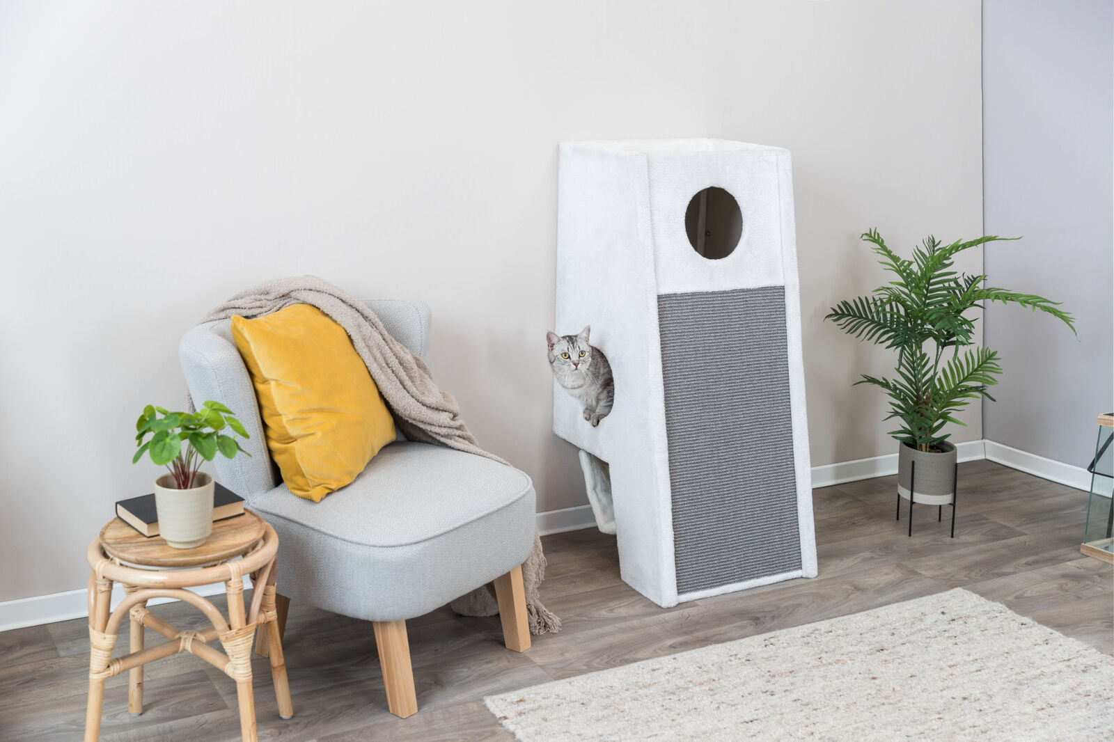 Trixie Kratzbaum zur Wandmontage Komfort für Ihre Katze