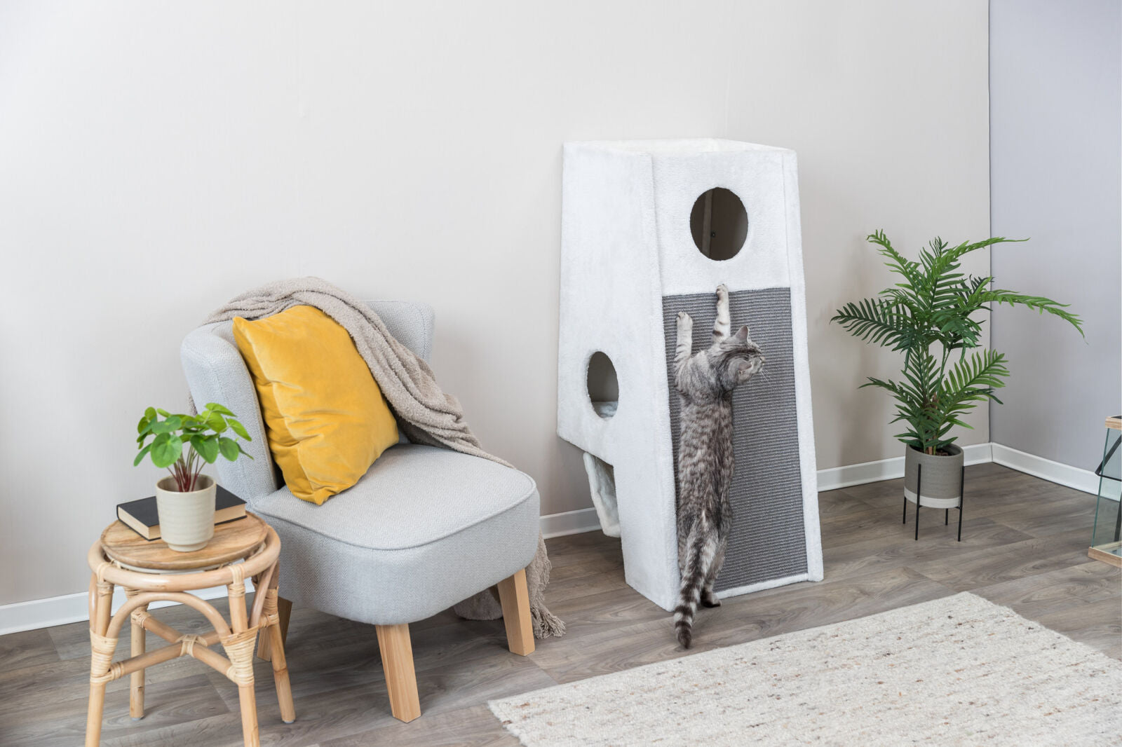 Trixie Kratzbaum zur Wandmontage Komfort für Ihre Katze