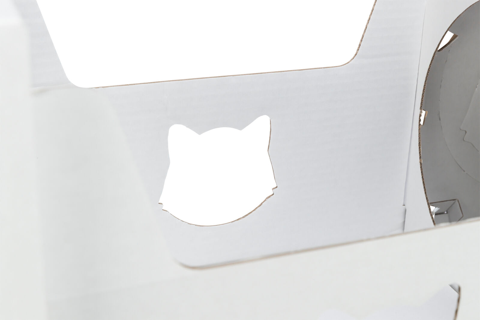 Trixie Casa Cara – Die wandelbare Kartonburg für Katzen