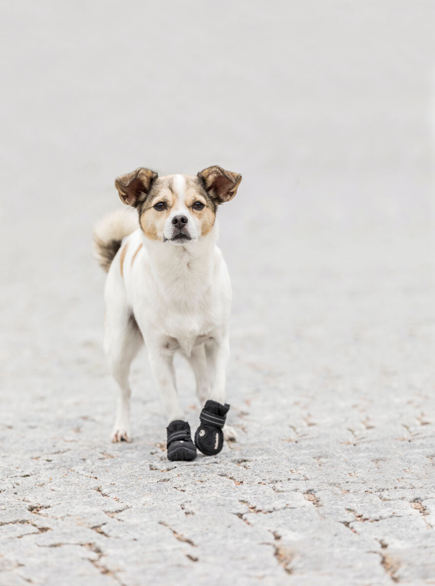 Trixie Walker Active Pfotenschutz – Schutz bei Hitze & Kälte