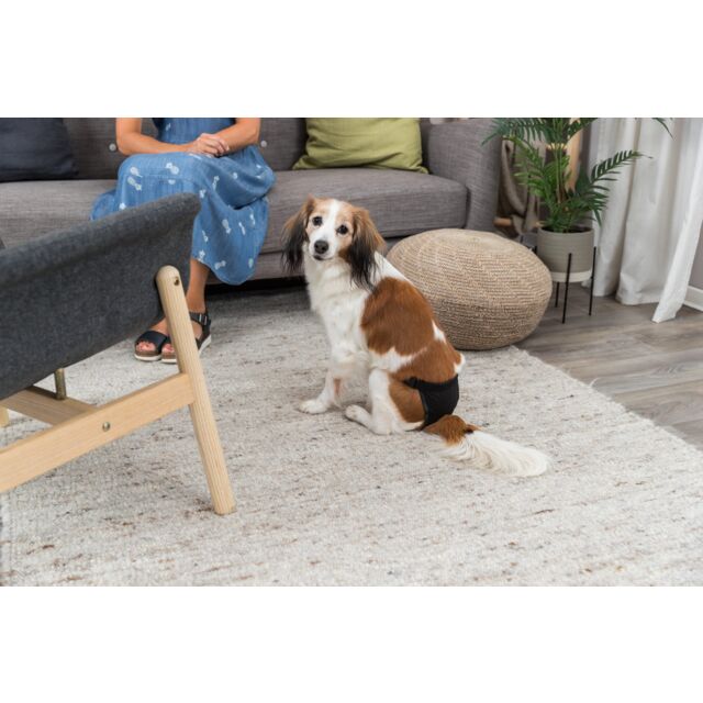 Trixie Schutzhöschen für Hunde – sicherer Schutz & bequemer Sitz