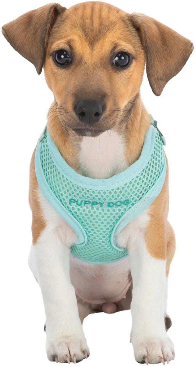 TRIXIE Junior Welpen-Softgeschirr mit Leine – Mesh, verstellbar