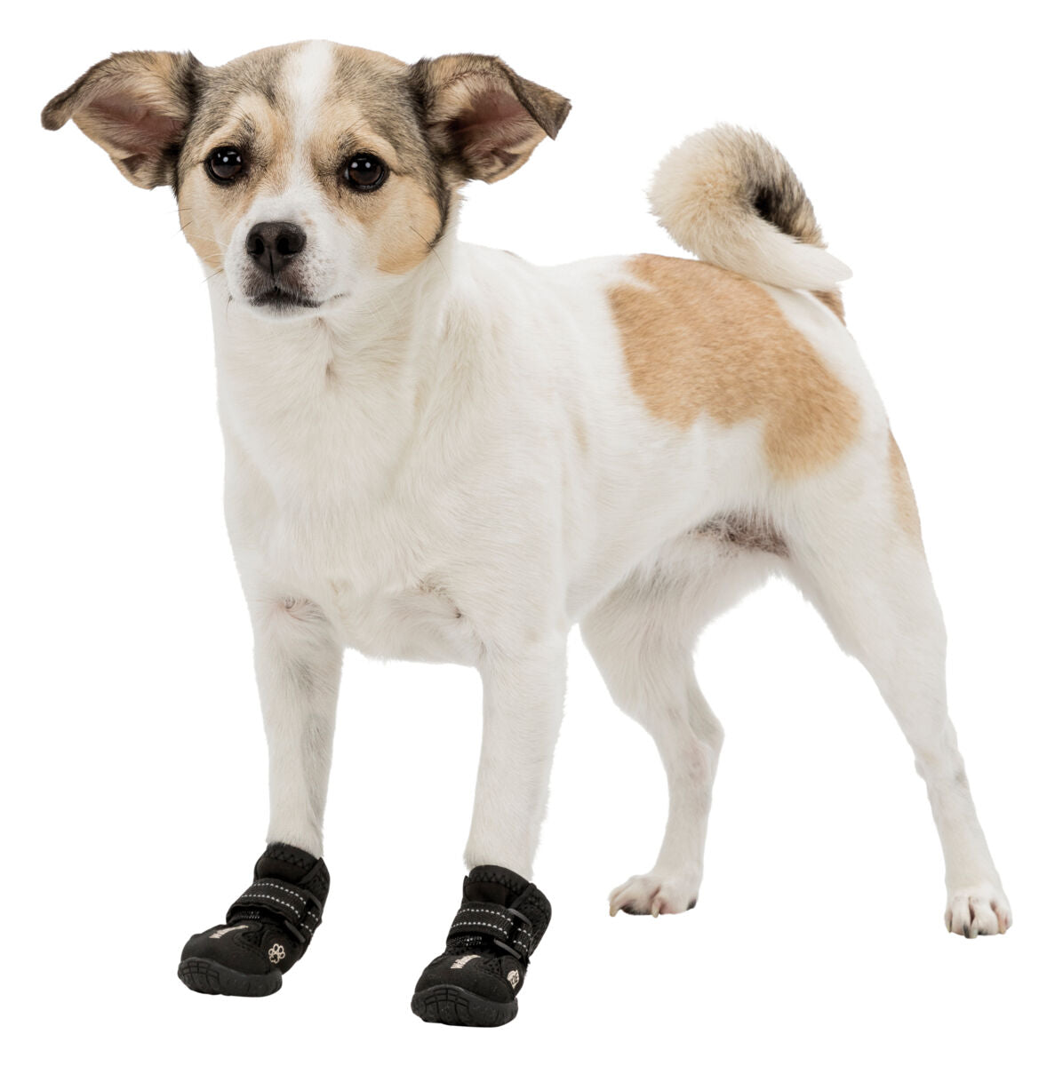 Trixie Walker Active Pfotenschutz – Schutz bei Hitze & Kälte