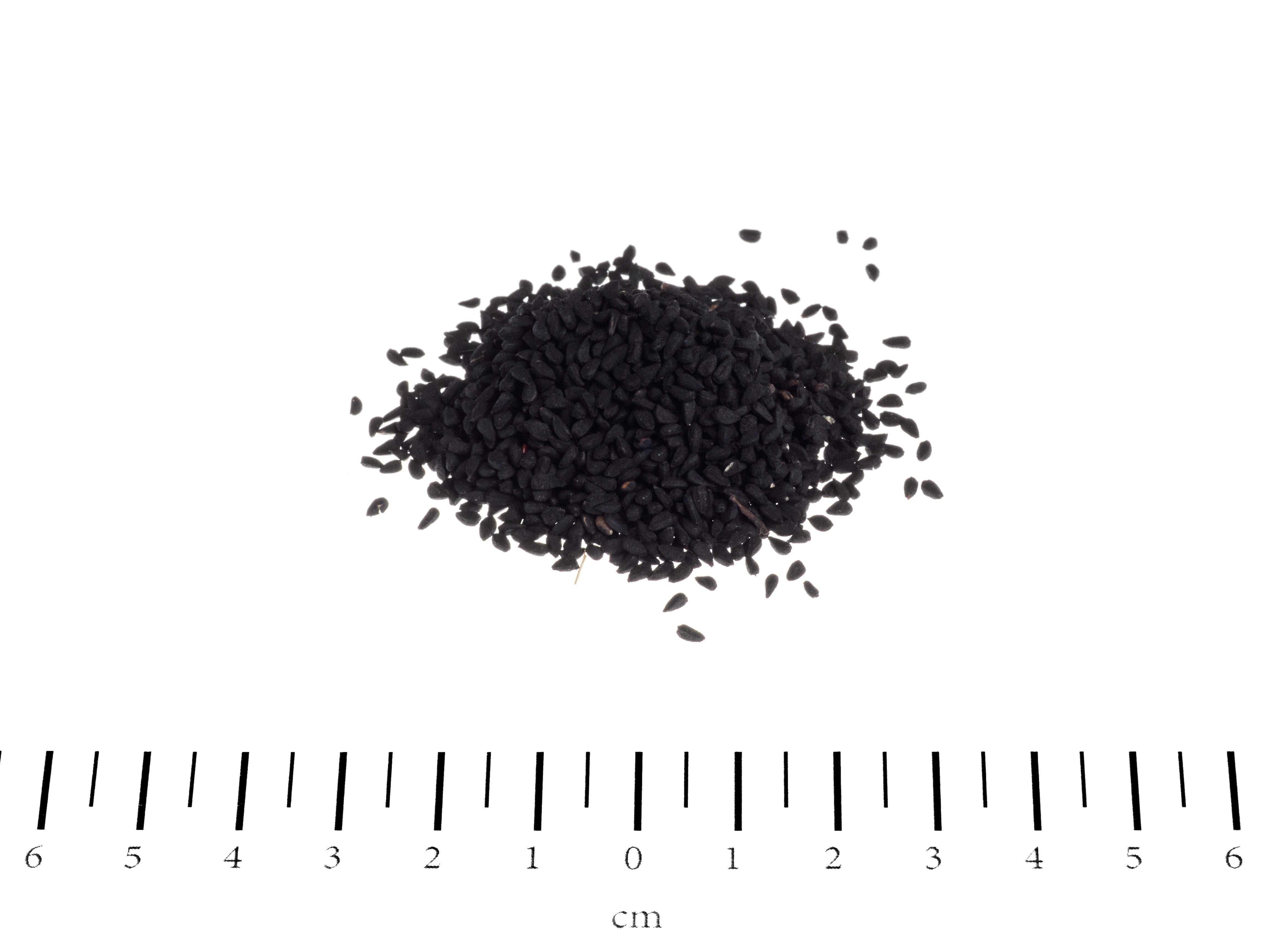 Canina SCHWARZKÜMMELSAMEN – 100 % Nigella sativa