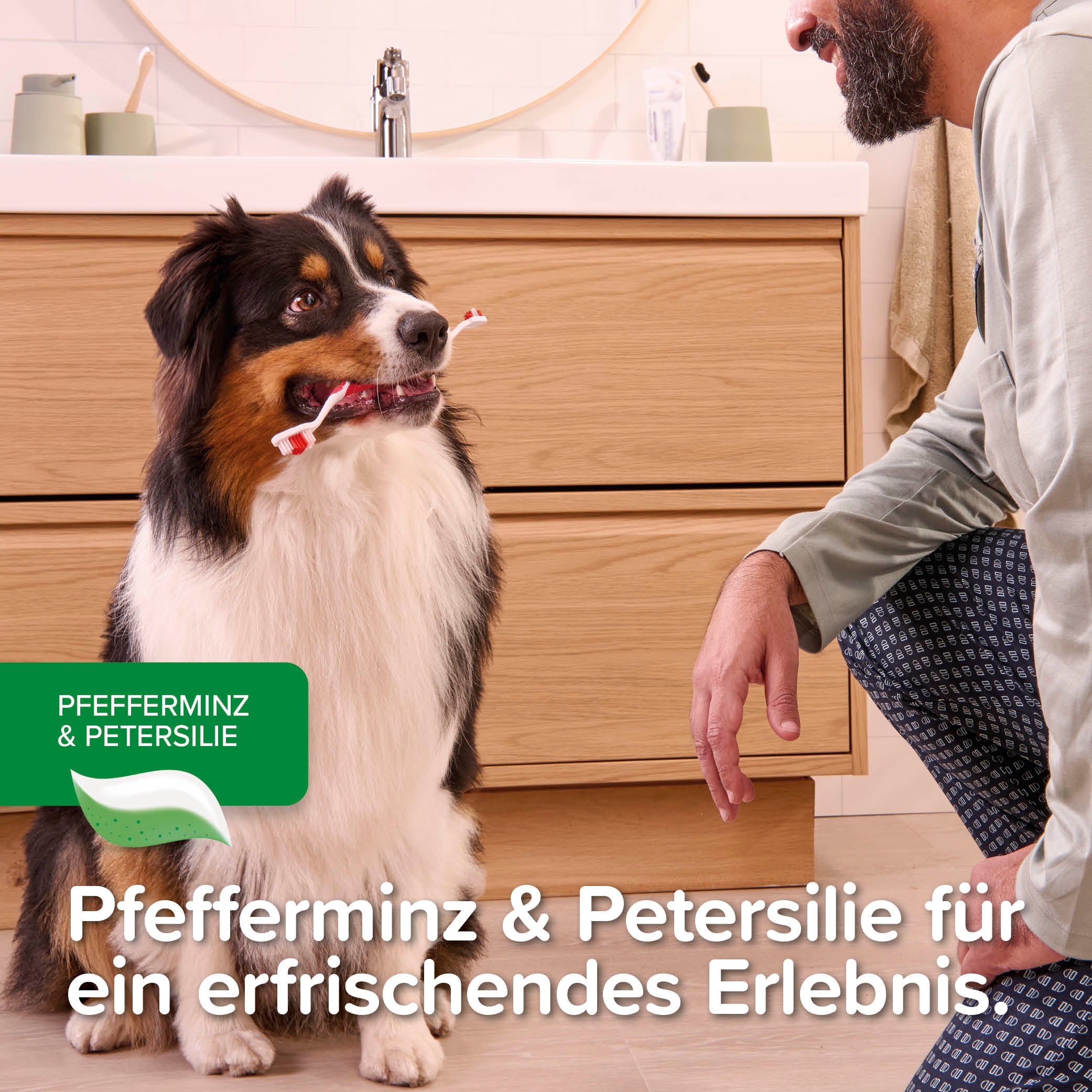 Beaphar Zahnpasta Toothpaste mit Leber- oder Minzgeschmack für Hunde und Katzen 100g