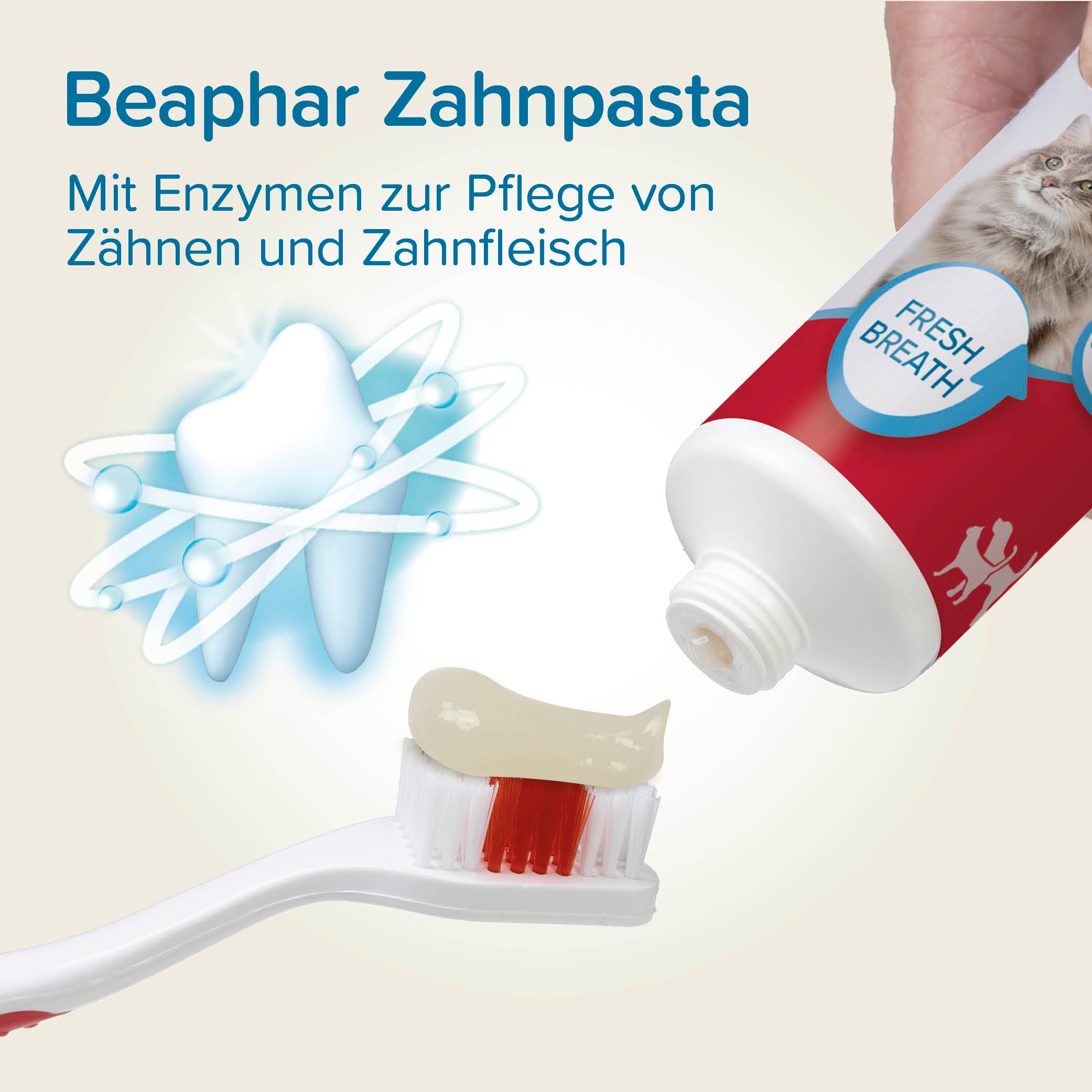 Beaphar Zahnpasta Toothpaste mit Leber- oder Minzgeschmack für Hunde und Katzen 100g