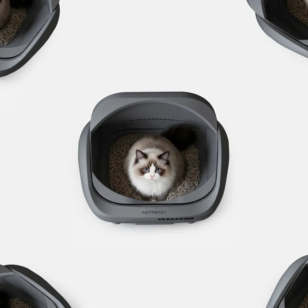 AstroPet Venus – Selbstreinigende Katzentoilette