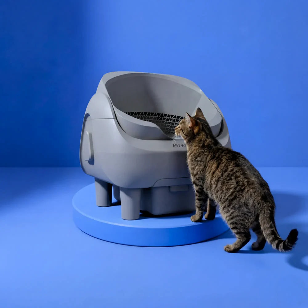 AstroPet Venus – Selbstreinigende Katzentoilette